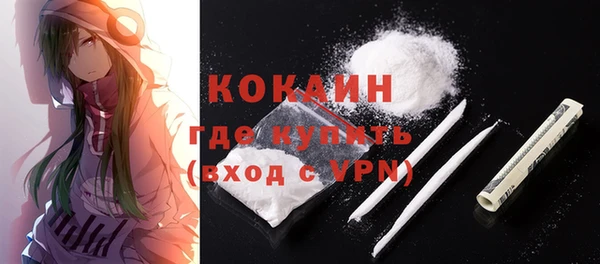 стаф Бородино