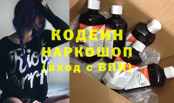 стаф Бородино