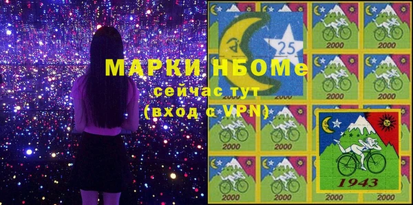 стаф Бородино