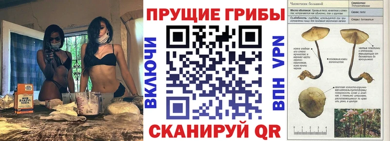 Галлюциногенные грибы мухоморы  Гвардейск 